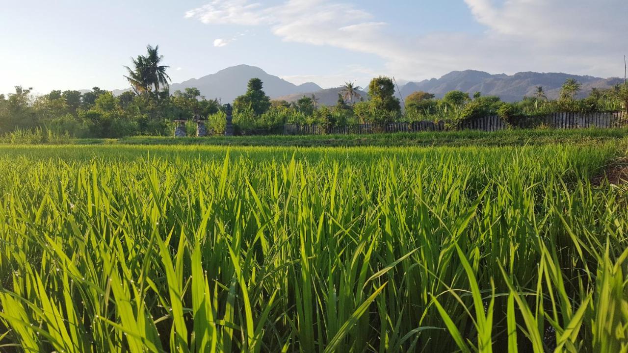 Umma Bali Menjangan Retreat Otel Banyuwedang Dış mekan fotoğraf