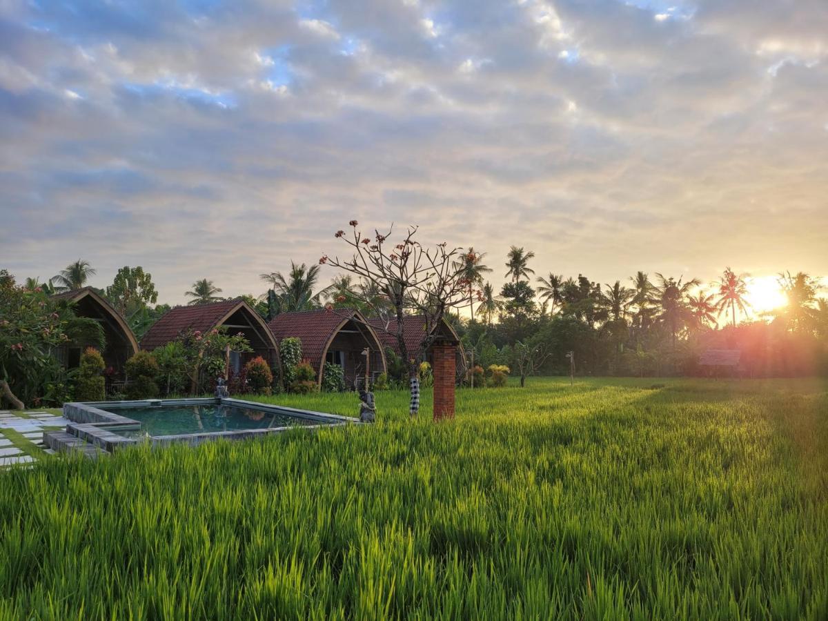 Umma Bali Menjangan Retreat Otel Banyuwedang Dış mekan fotoğraf