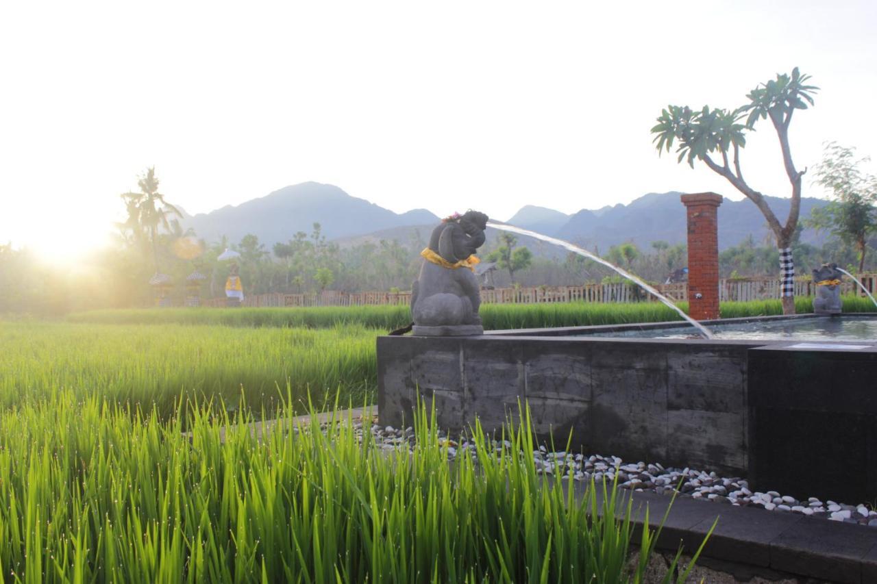 Umma Bali Menjangan Retreat Otel Banyuwedang Dış mekan fotoğraf
